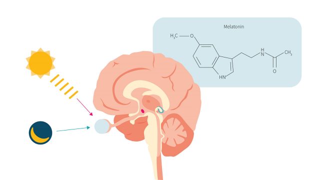 Migren hastalarında Melatonin hormonu faydalı mı?