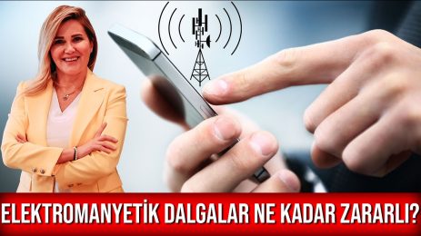 Cep Telefonu ve Elektromanyetik Dalgalar Beynimizi Nasıl Etkiliyor?