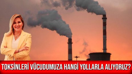 Toksinleri vücudumuza hangi yollarla alıyoruz?