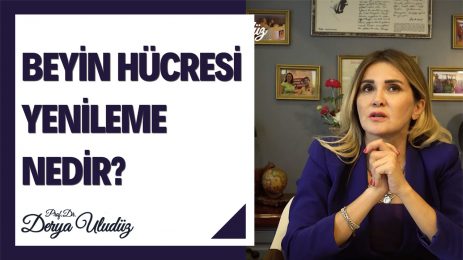 Beyin Hücresi Yenileme (Nöroplastisite) Nedir?