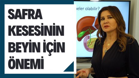 Safra Kesesinin Beyin İçin Önemi