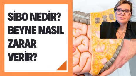Sibo nedir? Beyne nasıl zarar verir?
