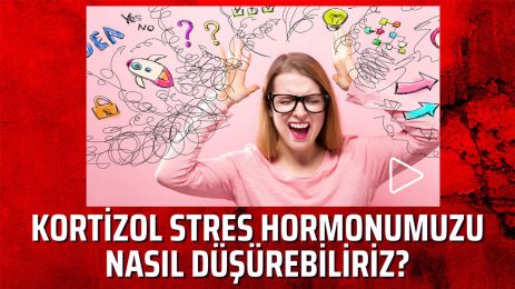 Kortizol stres hormonumuzu nasıl düşürebiliriz?