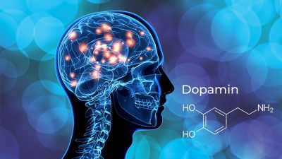 Motivasyon hormonu Dopamin