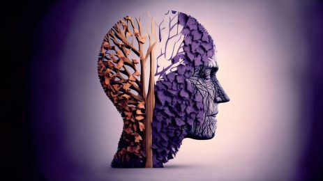 Sitikolin Alzheimer ve bunamada işe yarar mı?